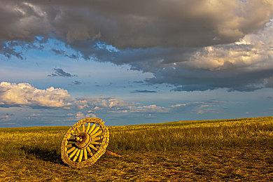 EA老总加薪500万美元 而员工工资中位数却在下降